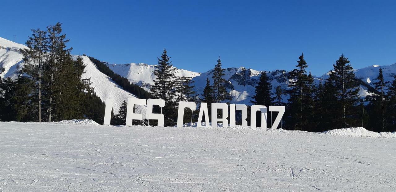 Grand Studio Les Carroz-d'Araches Exterior foto